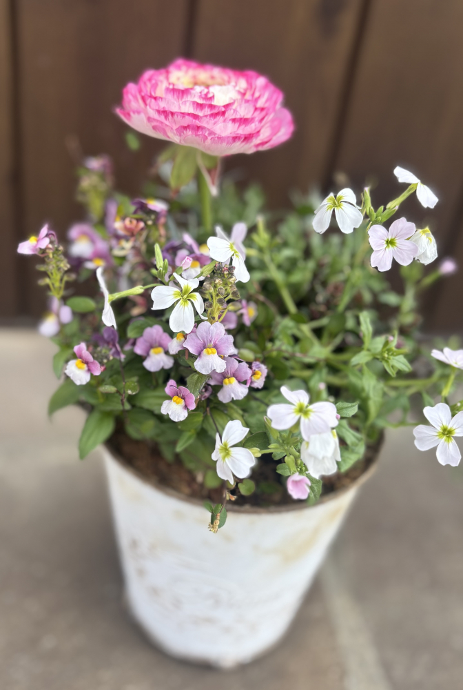 📢『こうのす 街みせ学』４月ラインナップ！