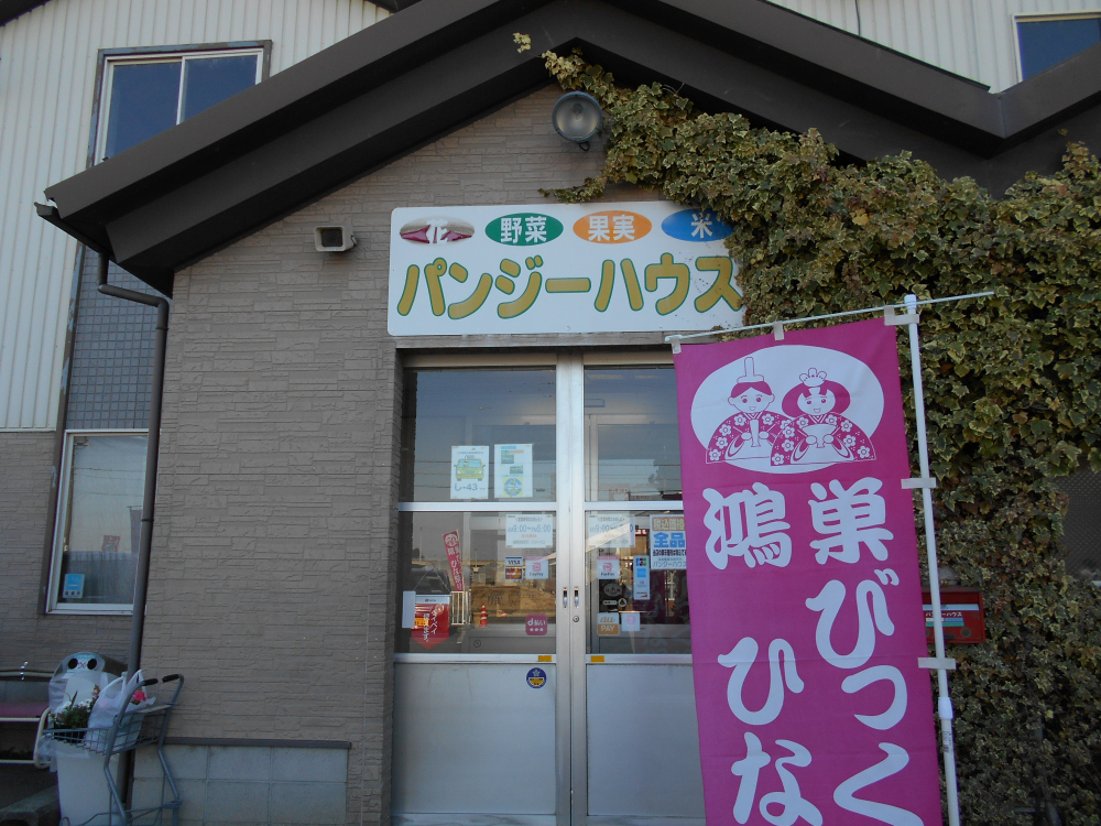 🌼パンジーハウス💐