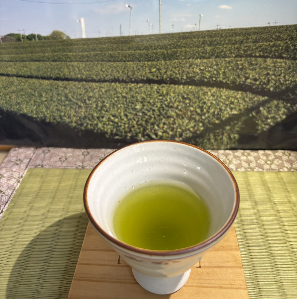 🍃【講座１】今、あらためてお茶を知る🍵