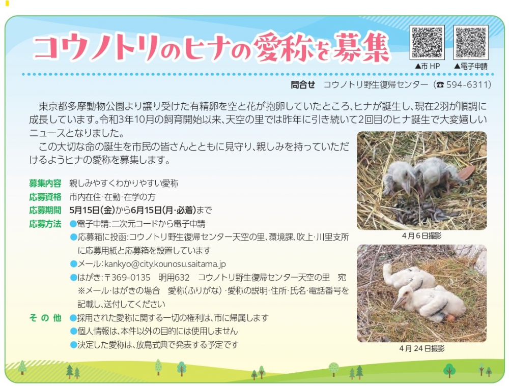 【天空の里】🐤こうのとりのヒナの名前募集🐤