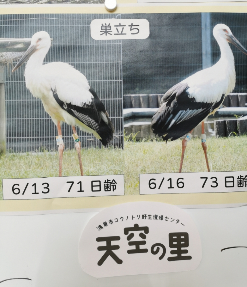 晴と天