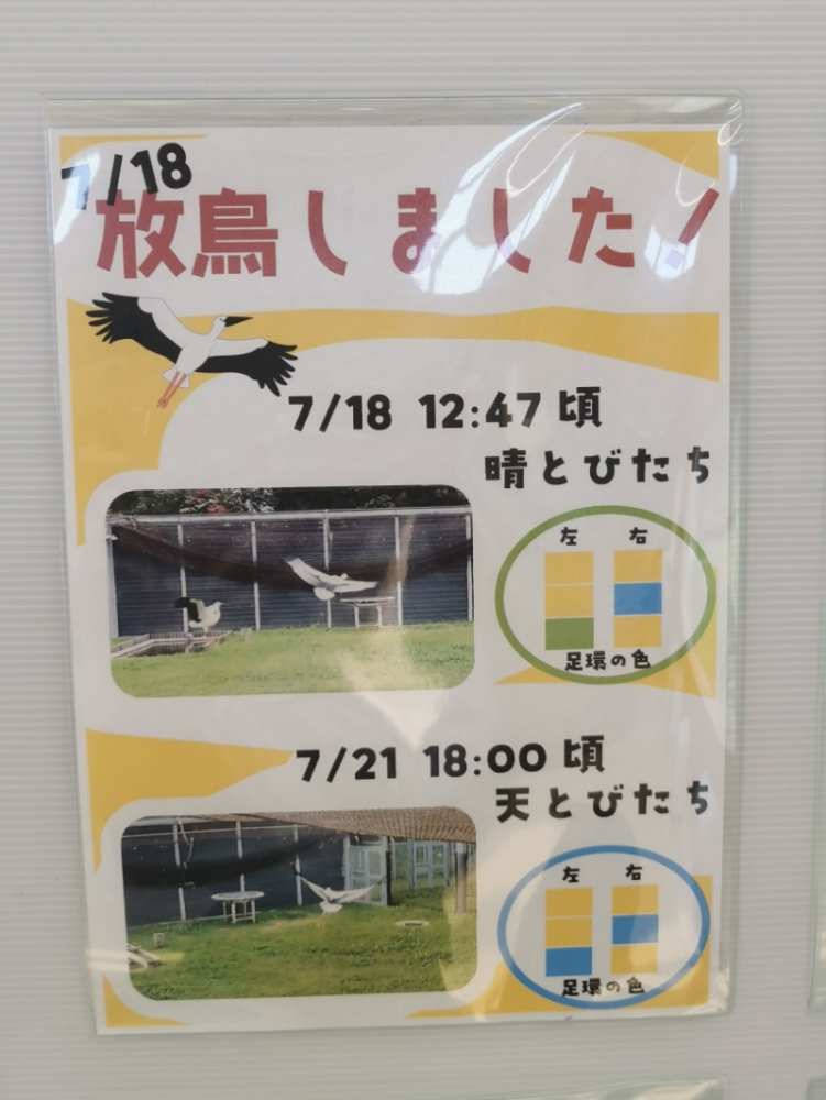 晴と天の足輪のいろ
