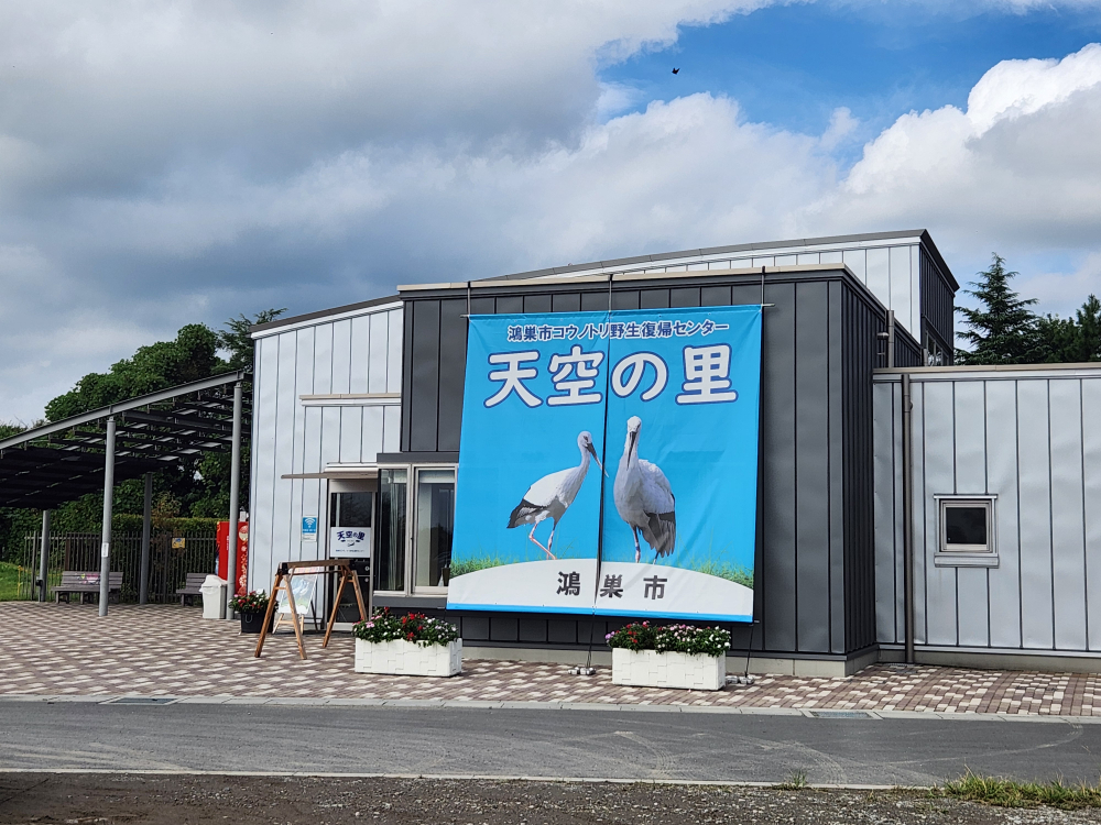 コウノトリ野生復帰センター 天空の里に行ってみました！