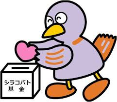 コラム