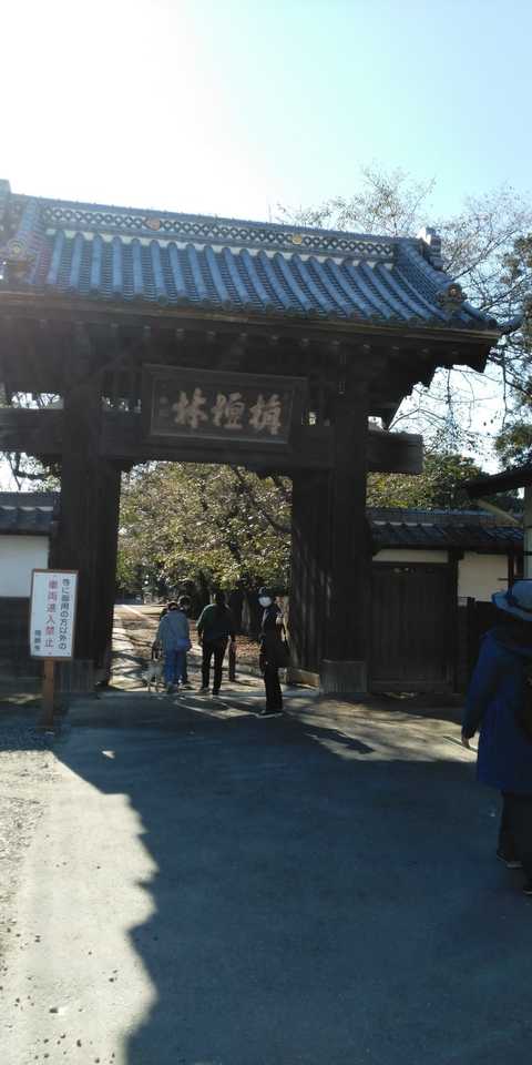 勝願寺を散策してきました